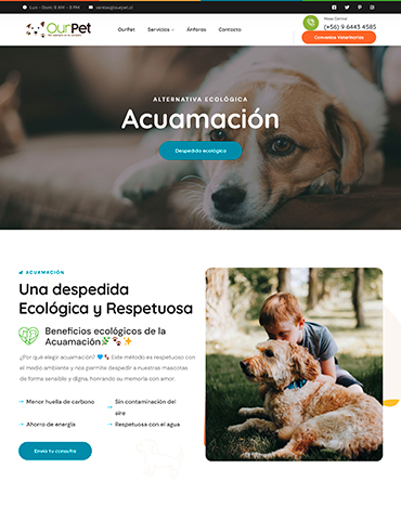 OurPet - Portafolio OurPet